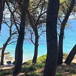 Estela Vela Luka