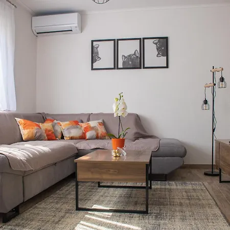 Estela * ヴェラ・ルカ