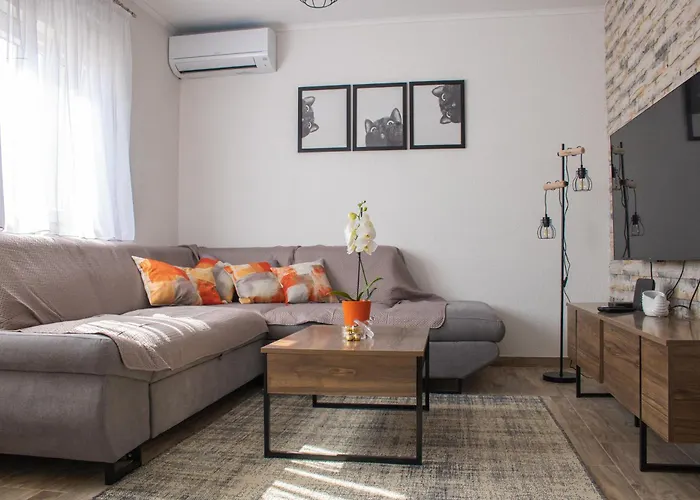 Estela * ヴェラ・ルカ